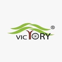 Victory EV International Ltd