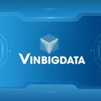 VinBigdata