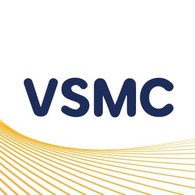 VisionPower Semiconductor Manufacturing Company (VSMC)