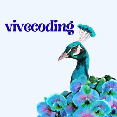 vivecoding