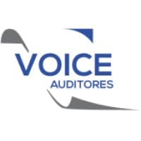 Voice Auditores Independentes
