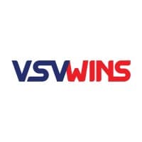 VSV WINS, INC