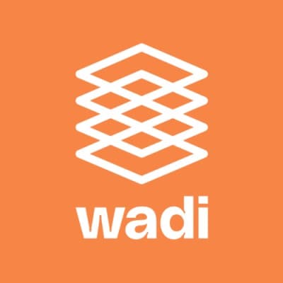 WadiDigital - B2B Tech Marketing Agency