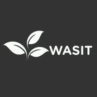 Wasit