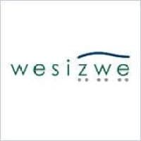 Wesizwe Platinum Ltd.