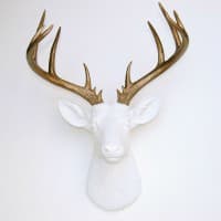 White Deer BBQ