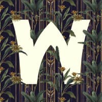 Wild Palace