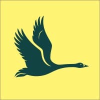 wwt (wildfowl & wetlands trust)