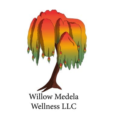 Willow Medela Wellness