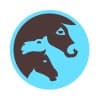 Working Animals International