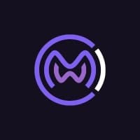 World Metaverse Council