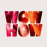 Wow-How Studio