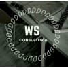 WS Consultoria em RH - A Empresa que mais cresce em Recolocação Profissional