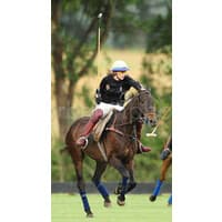 Sydney Polo Club
