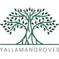Yalla Mangroves