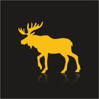 Yellow Moose