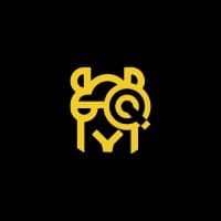 Yellow Camel Studios
