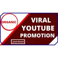 YouTube Marketing Expert