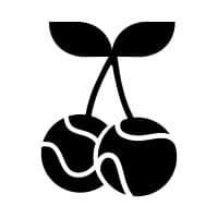 Dialectic Zug Open