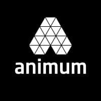 Animum Creativity Advanced School