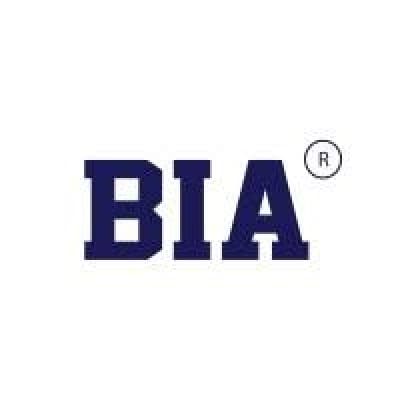 Boston Institute of Analytics