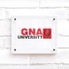 GNA University