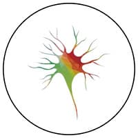 Instituto Brasileiro de Neuromarketing e Neuroeconomia