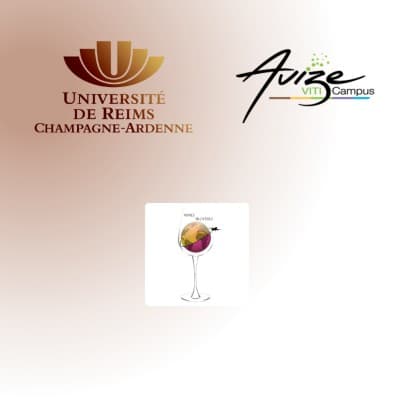 Licence Commercialisation à l'International des Vins et Spiritueux - Reims