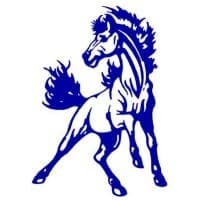 Little Chute High School