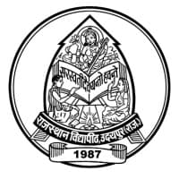 Rajasthan Vidyapeeth University