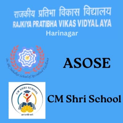 Rajkiya Pratibha Vikas Vidyalaya, Harinagar (School Of Specialised Excellence), New Delhi