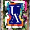 The University of Akron