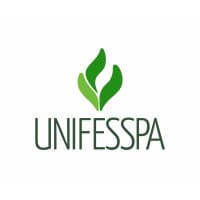 Federal University of South and Southeast Pará