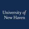 University of New Haven