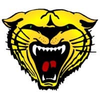 Watson Chapel High School