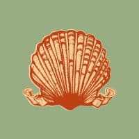 Academia Botticelli