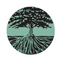 Alluvial Private Wealth