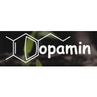 Dopamin Strategic Consultants Pvt Ltd