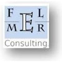 FELMER Consulting Inc.