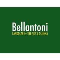 michael bellantoni, inc.