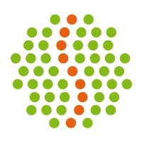 SCANBRAINS