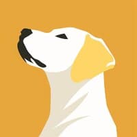 Yellow Lab Ventures
