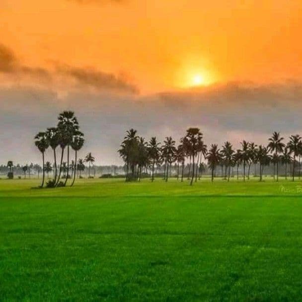Lokesh Reddy