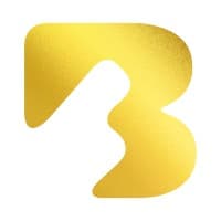 Brian Bell Group