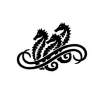 Taylors Wines / Wakefield Wines