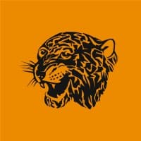 Hull City