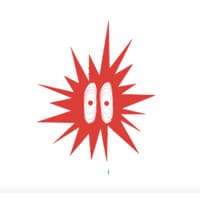 Bandicoot TV