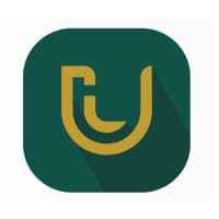 LUCID Investment Company