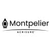 MontPelier Corretora