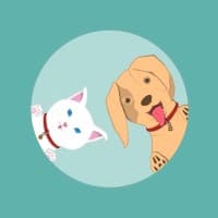 PETFACEAPP